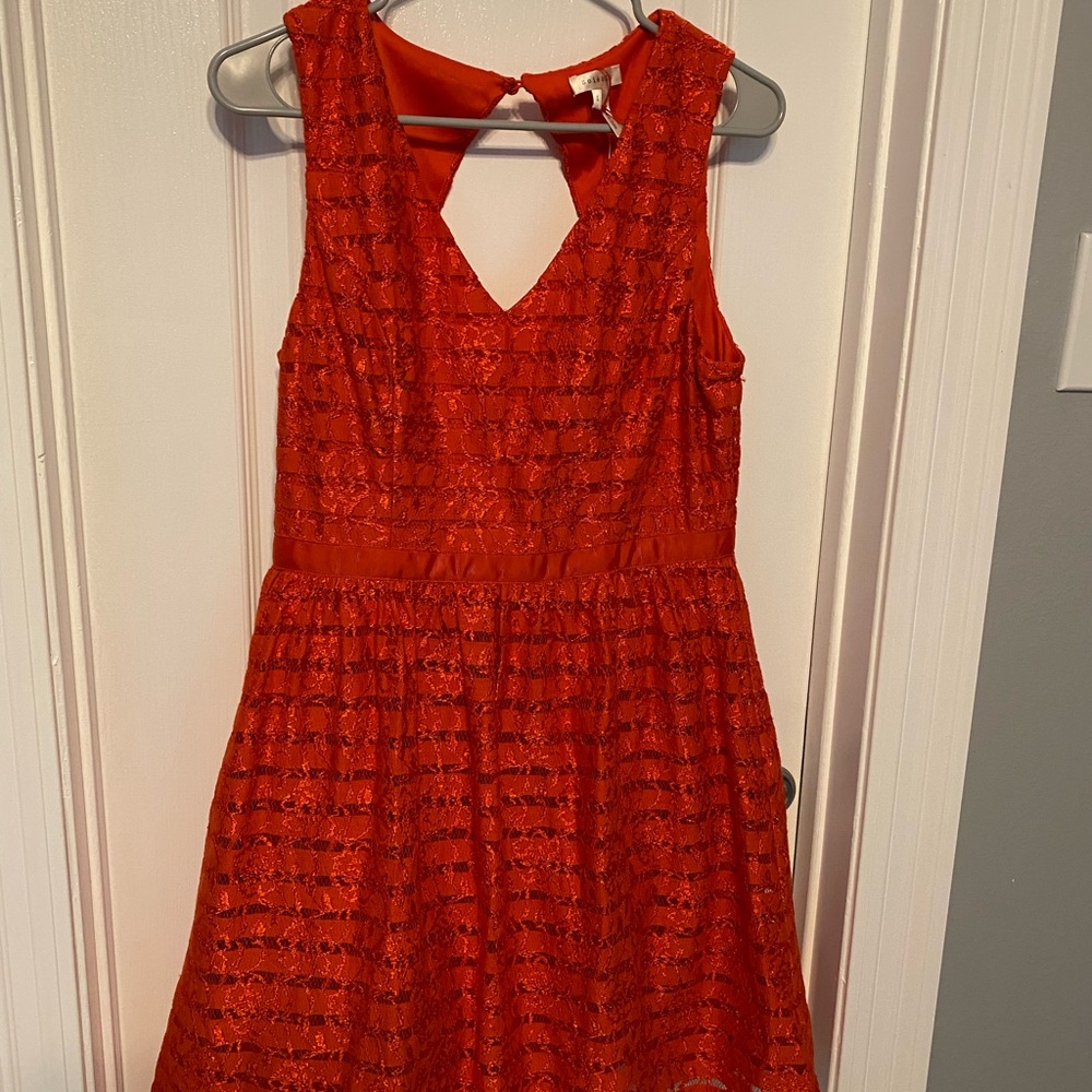 Stunning Coral Skater dress NWT